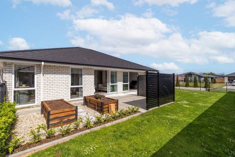 Photo of property in 41 Hinerangi Crescent, Matamata, 3400