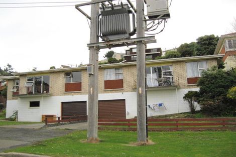 Photo of property in 110a Norfolk Street, Saint Clair, Dunedin, 9012