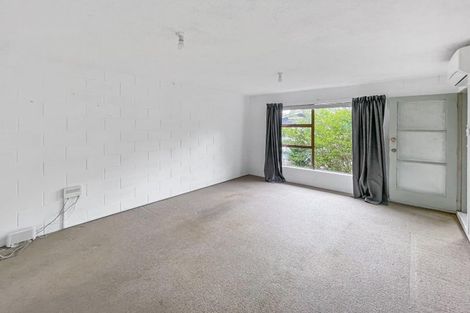 Photo of property in 14u5 Coates Street, Hamilton East, Hamilton, 3216