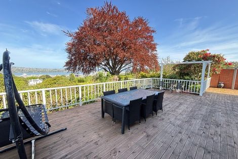Photo of property in 30 Tweed Street, Roslyn, Dunedin, 9010