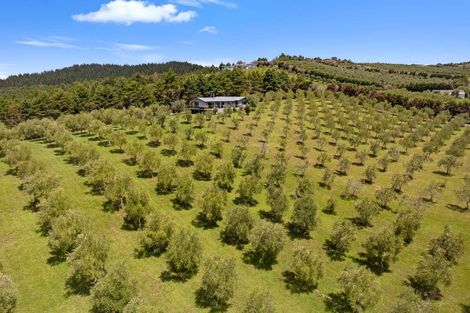 Photo of property in 72 Leccino Valley Road, Mangonui, 0494