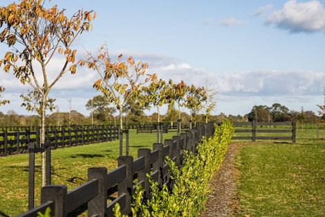 Photo of property in 7 Orchard Place, Matamata, 3472