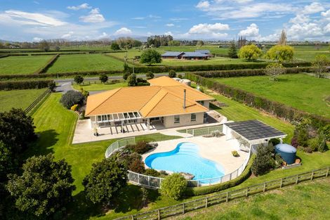 Photo of property in 13 Hogan Road, Cambridge, 3493