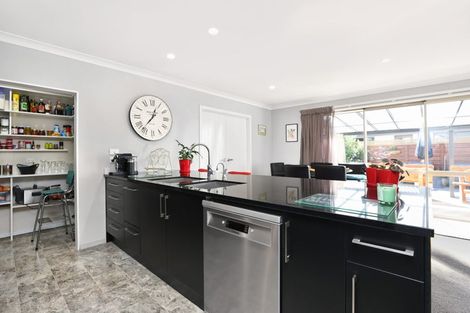 Photo of property in 16 Geoff Geering Drive, Netherby, Ashburton, 7700
