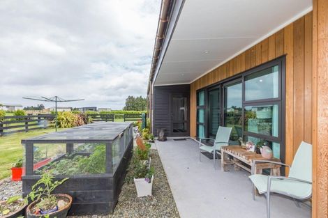 Photo of property in 126 Gladstone Road, Levin, 5571