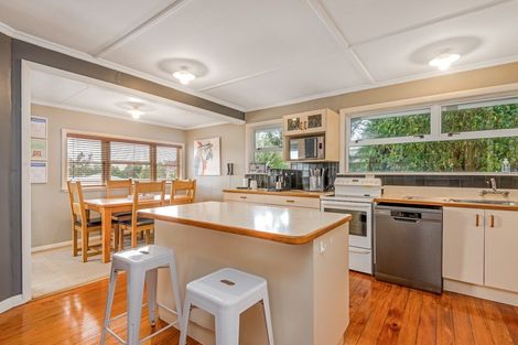 Photo of property in 58 Wakeman Street, Pahiatua, 4910