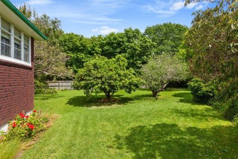 Photo of property in 40a Kirk Street, Whakatane, 3120