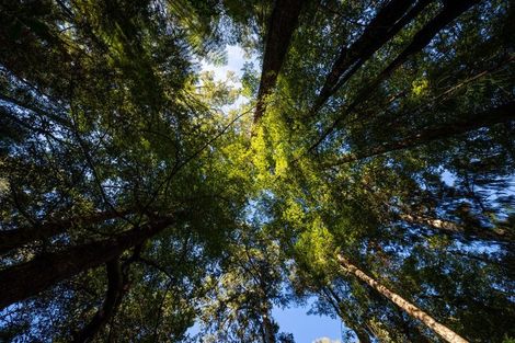 Photo of property in 22 Herring Stream Road, Motueka Valley, Motueka, 7196