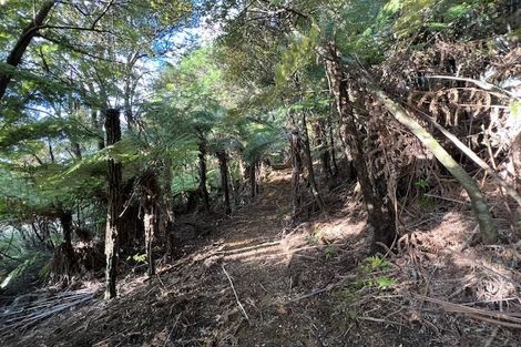 Photo of property in 211 Krippner Road, Puhoi, Warkworth, 0994
