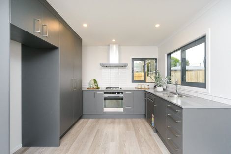Photo of property in 22 Highbury Avenue, Highbury, Palmerston North, 4412