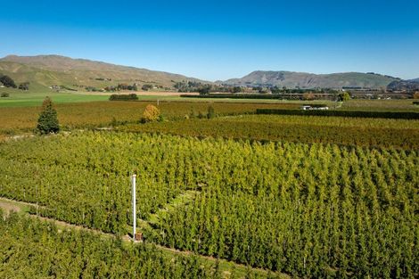 Photo of property in 83 Mount Erin Road, Pukahu, Hastings, 4172