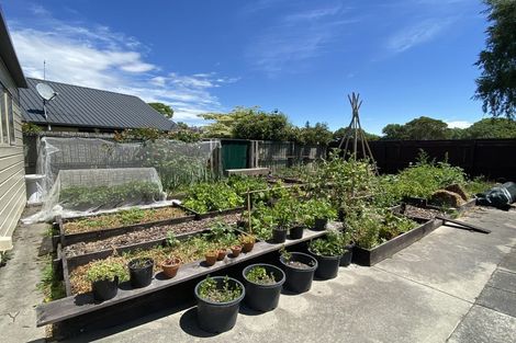 Photo of property in 19 Rosella Street, Broomfield, Christchurch, 8042