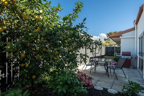 Photo of property in 70a Muller Road, Blenheim, 7201