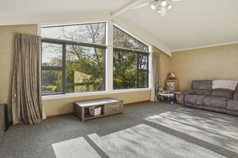 Photo of property in 54 Wilson Road, Balclutha, 9230