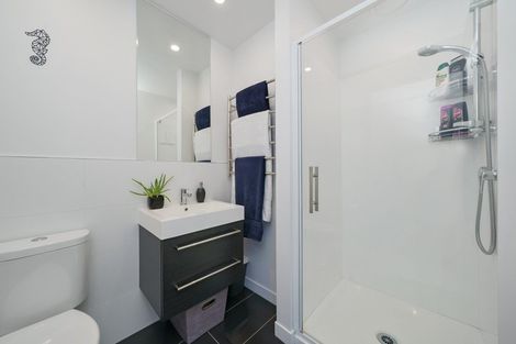 Photo of property in 24u4 Princess Terrace, Newtown, Wellington, 6021