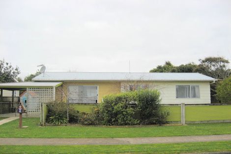 Photo of property in 9 Ryder Crescent, Levin, 5510