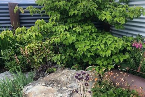 Photo of property in 8 Rhoboro Road, Twizel, 7901