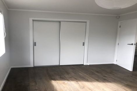 Photo of property in 91a Helvetia Road, Pukekohe, 2120