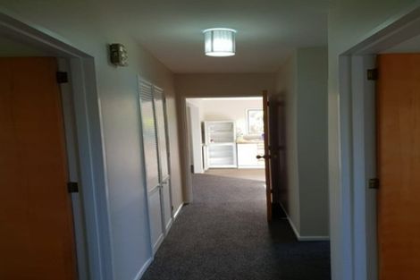 Photo of property in 87 Frankleigh Street, Somerfield, Christchurch, 8024