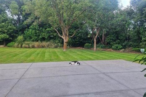 Photo of property in 228 Opawa Road, Hillsborough, Christchurch, 8022