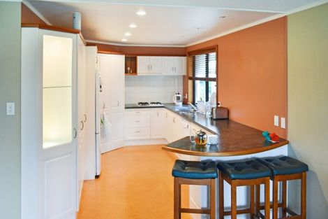 Photo of property in 6 Opawa Place, Terrace End, Palmerston North, 4410