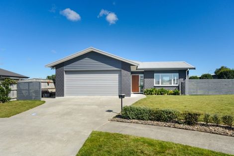 Photo of property in 13 Cherry Place, Feilding, 4702
