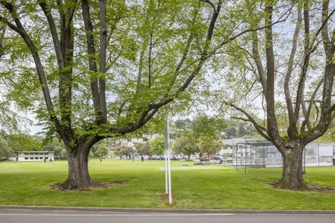 Photo of property in 39 Opoho Road, North East Valley, Dunedin, 9010