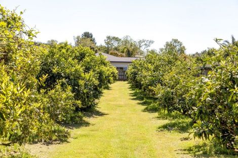 Photo of property in 6 Aileen Place, Whangamata, 3691