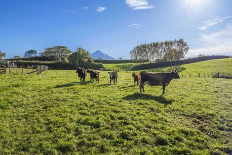 Photo of property in 241 Warwick Road, Stratford, 4391