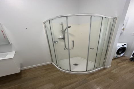 Photo of property in 56 Coromandel Street, Newtown, Wellington, 6021