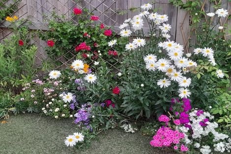 Photo of property in 41a Bayfair Drive, Mount Maunganui, 3116