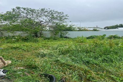 Photo of property in 21 Ferguson Street, Levin, 5510