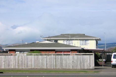 Photo of property in 804 Main Street, Roslyn, Palmerston North, 4414