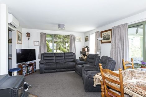 Photo of property in 20a Hewlings Street, Geraldine, 7930