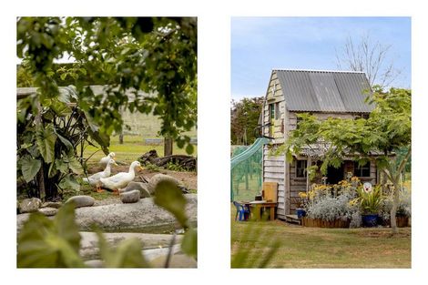 Photo of property in 16 Hogbin Road, Te Teko, Whakatane, 3193
