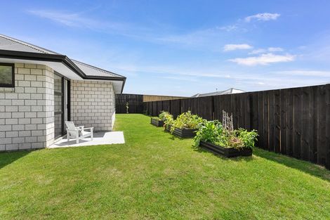 Photo of property in 49d Acacia Avenue, Kihikihi, Te Awamutu, 3800