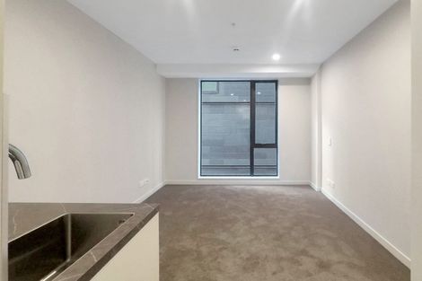 Photo of property in Vsp South, 305/168u Victoria Street, Te Aro, Wellington, 6011