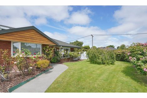 Photo of property in 48 Farrington Avenue, Bishopdale, Christchurch, 8053