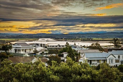 Photo of property in 21 Denholm Road, Hospital Hill, Napier, 4110