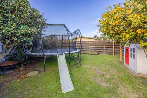 Photo of property in 19 Leeds Place, Tamatea, Napier, 4112