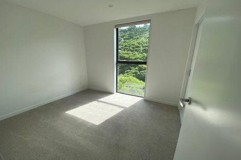 Photo of property in 41 Rua Kai Way, Brooklyn, Wellington, 6021