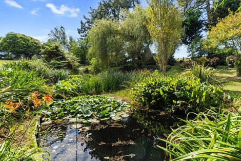 Photo of property in 1009 Hetherington Road, Ruawaro, Huntly, 3772