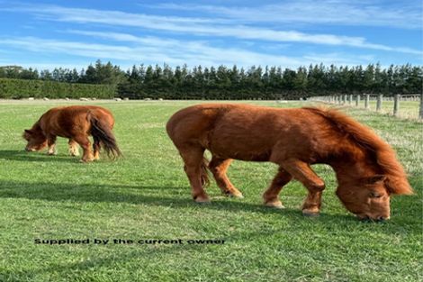 Photo of property in 1789 South Eyre Road, Eyrewell, Rangiora, 7476