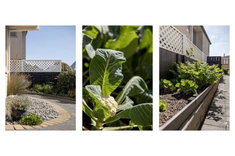 Photo of property in 8 Aberdeen Street, Mount Maunganui, 3116