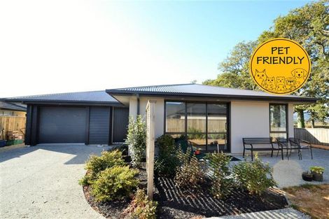 Photo of property in 59 Malone Crescent, Richmond, 7020