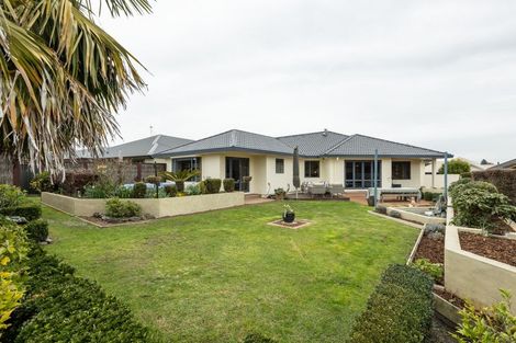 Photo of property in 56 Palmbrook Avenue, Havelock North, 4130