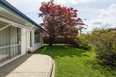 Photo of property in 51 Orchard Avenue, Enderley, Hamilton, 3214
