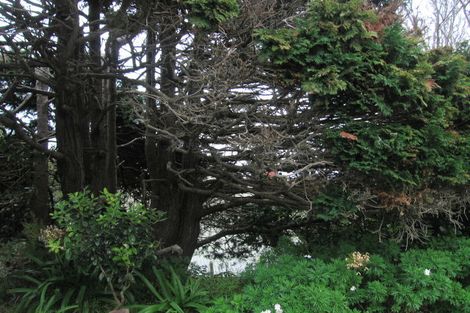 Photo of property in 12 West Road, Northland, Wellington, 6012