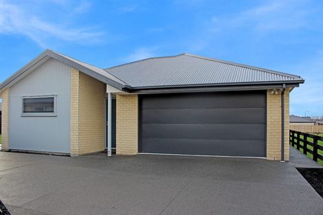 Photo of property in 25 Zabeel Street, Lincoln, 7608