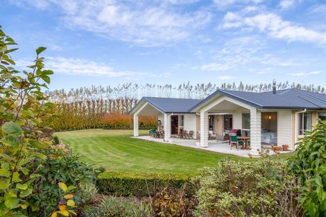 Photo of property in 71 North Street, Greytown, 5712